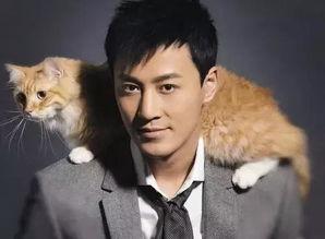 林峰近期爆料新闻报道视频,揭秘幕后真相，带你走进娱乐圈风云  第1张