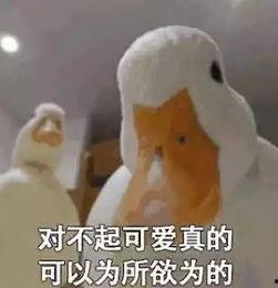 爆料鸭子吃药会死吗视频  第1张